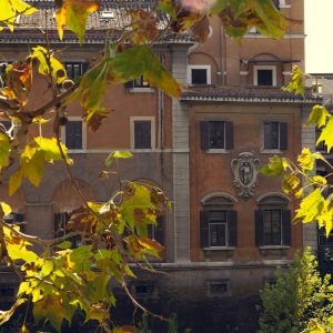 Rome is one of those few places that thoroughly surprised me. I was expecting a booming metropolis