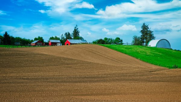 Plowed field at Idaho farm