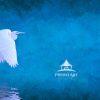 "Serene Reflection" is a piece that captures the elegance and grace of a solitary, white egret in
