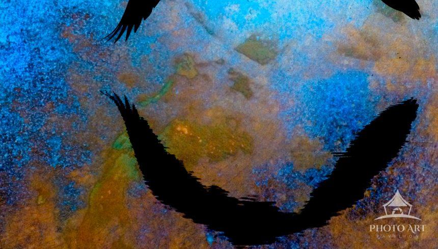 "Winged Reflections" is attempts to capture the captivating beauty of a blue heron's flight over
