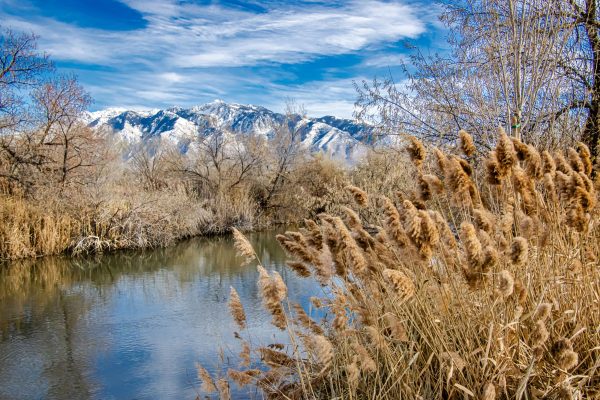 In the quiet stillness of December, the Jordan River located in Salt Lake County Utah seemed to slow