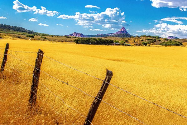 Kolob Terrace Section of Zion National Park in Utah. The Kolob Terrace offers a 21 mile scenic drive
