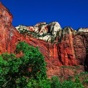 In the heart of southern Utah lies Zion National Park, one of America’s oldest and most cherished