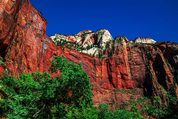 In the heart of southern Utah lies Zion National Park, one of America’s oldest and most cherished