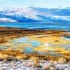 In the heart of northern Utah, where mountains meet shimmering saltwater, lies Antelope Island—one