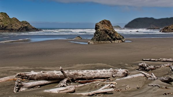 Rock and Wood Beach