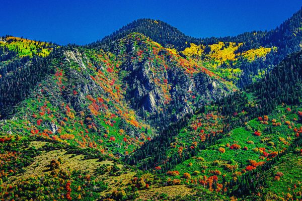 Autumn doesn’t arrive loudly—it slips in like a quiet painter, brushing the world in reds, golds,