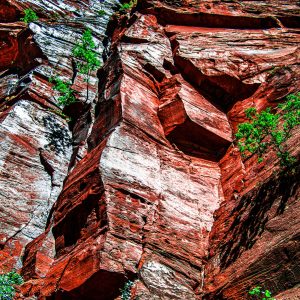 Photo taken of side of mountain at Zion National Park in the Narrows, Utah, USA. In the heart of