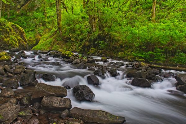 Bridal Veil Creek