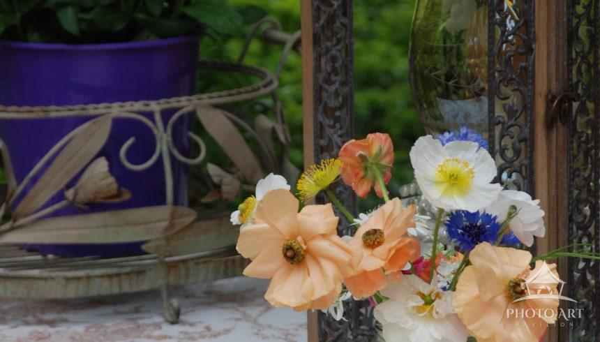 Wildflowers in a vase