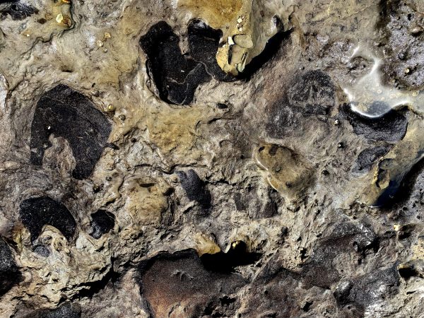 Black rock mosaic with volcanic appearance of hardened mud sculptures on Boneyard Beach