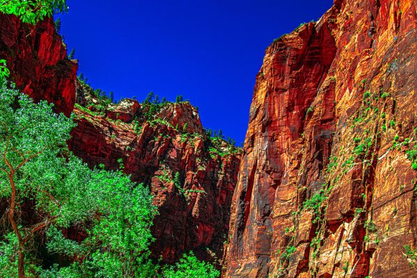 This is The Narrows at Zion National Park—a journey through water, stone, and wonder that captures