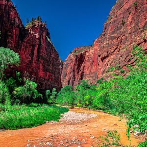 This is The Narrows at Zion National Park—a journey through water, stone, and wonder that captures