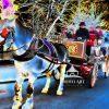 Stylized version of a picture of a handsom cab. Many tourists in NYC experience the beauty of Cental