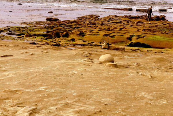 Searching for the treasures found in the Tide Pools of La Jolla