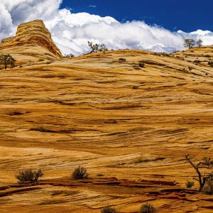 In the heart of southern Utah lies Zion National Park, one of America’s oldest and most cherished