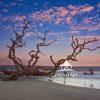 Massive Driftwood sits on an untouched, pristine beach as the tide goes out at the start of the