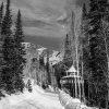 It was one of those mornings in Big Cottonwood Canyon where each breath carried the scent of pine