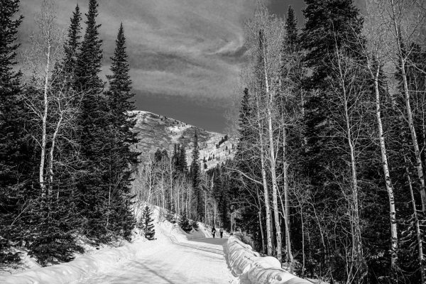 It was one of those mornings in Big Cottonwood Canyon where each breath carried the scent of pine