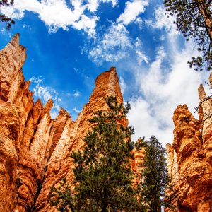 You would think you’ve stepped into another world. Bryce Canyon National Park, resting along the