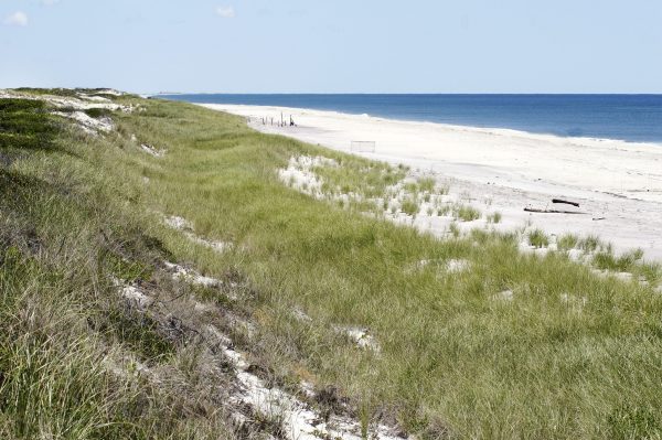 Fire Island is part of Long Island, New York at the south shore of Long Island and 60 miles (97