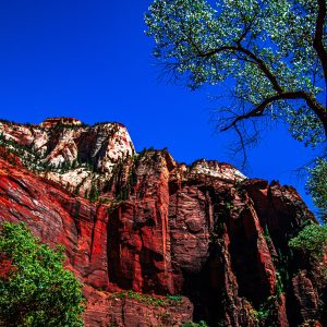 In the heart of southern Utah lies Zion National Park, one of America’s oldest and most cherished