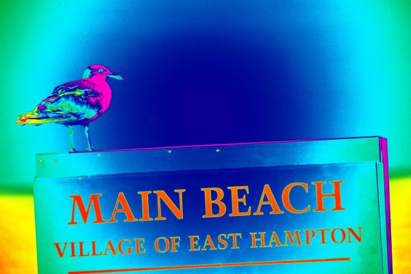 A seagull rests on a colorful rendering of a  Main Beach sign.