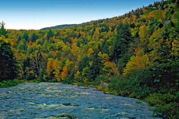A beautiful display of colorful leaves on this New England mountainside.