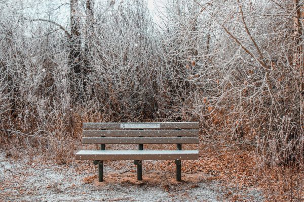 Walking through the park on a cold winter day.