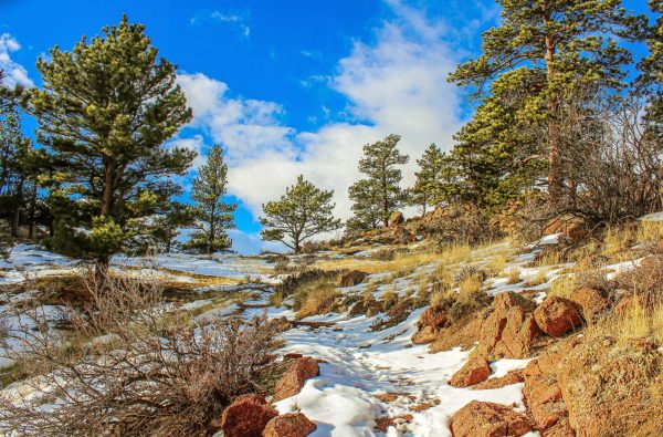 Curt Gowdy State Park is located 24 miles west of Cheyenne Wy. There are two lakes and abundance of