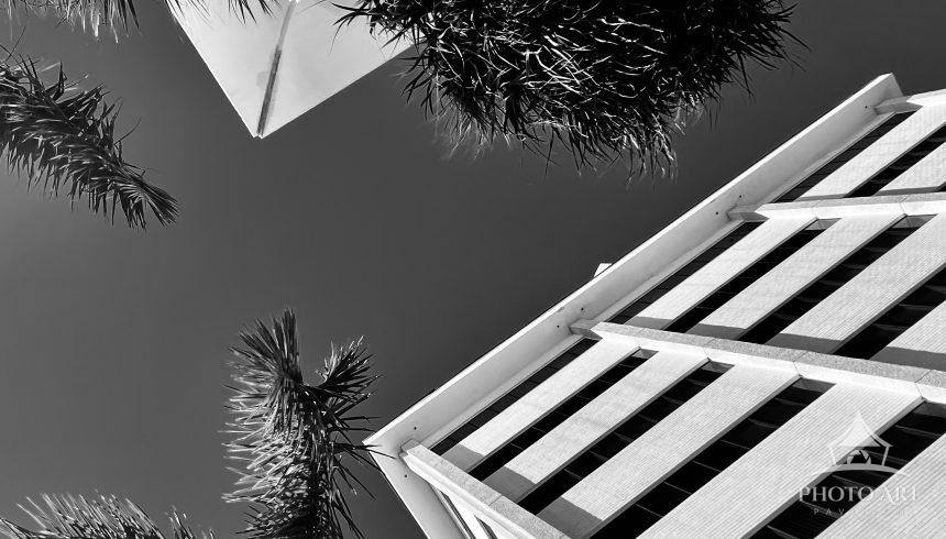 Looking up buildings palm trees