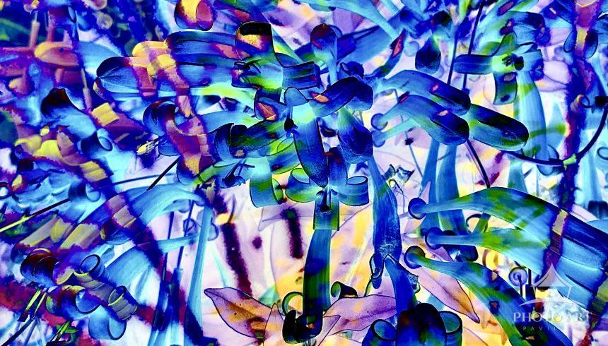 Tropical images of foliage digitally blended together creating a world of abstract nature