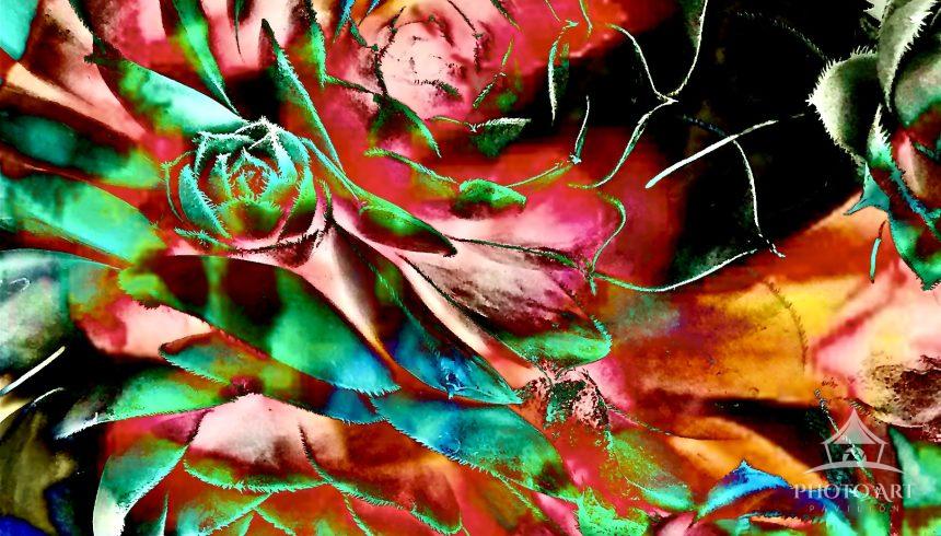 Tropical images of foliage digitally blended together creating a world of abstract nature