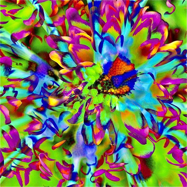 Tropical images of foliage digitally blended together creating a world of abstract nature