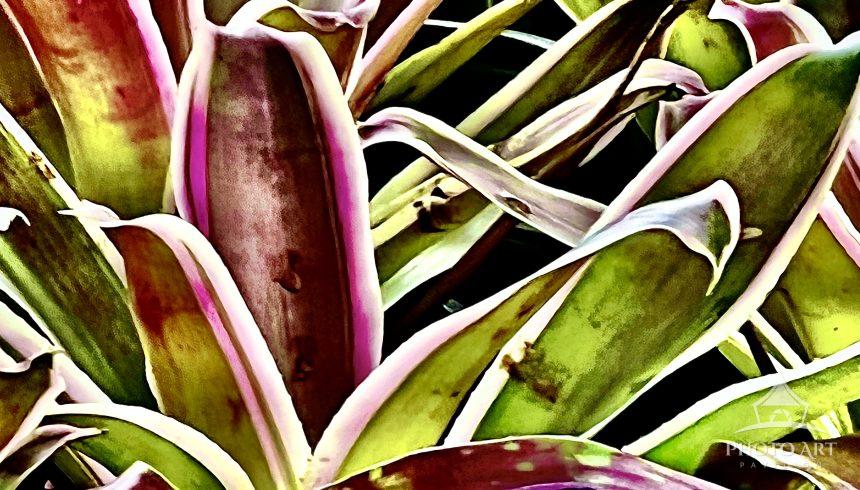 Tropical images of foliage digitally blended together creating a world of abstract nature