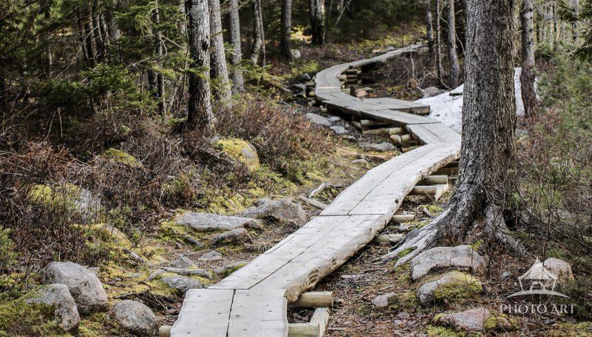 This wooden path is on the left side of Jordan Pond. It is a 3.5-mile hike around the pond.