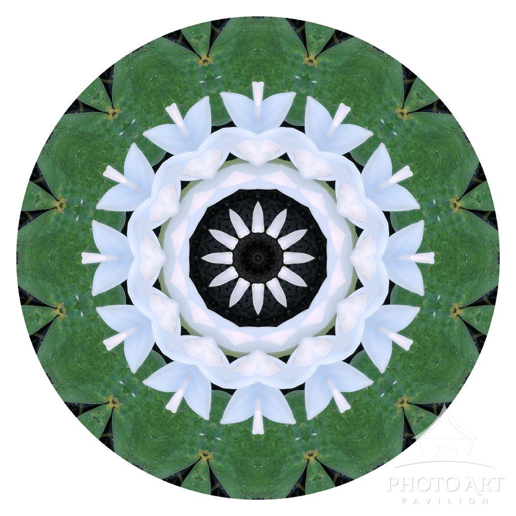 Keleidoscope Pattern Photo Art Pavilion
