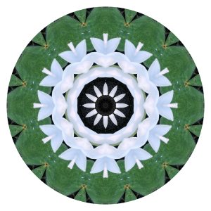 This photo abstract is a circular mandala-like design featuring layers of geometric patterns. The