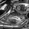 A closeup of raindrops on a chrome motorcycle engine compartment  parts.