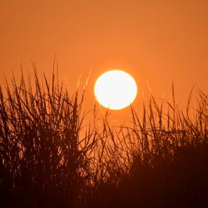 Robert Moses Fall Sunset