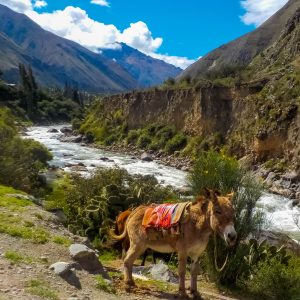 This was our first site as we crossed over bridge to start the hike on Inca trail