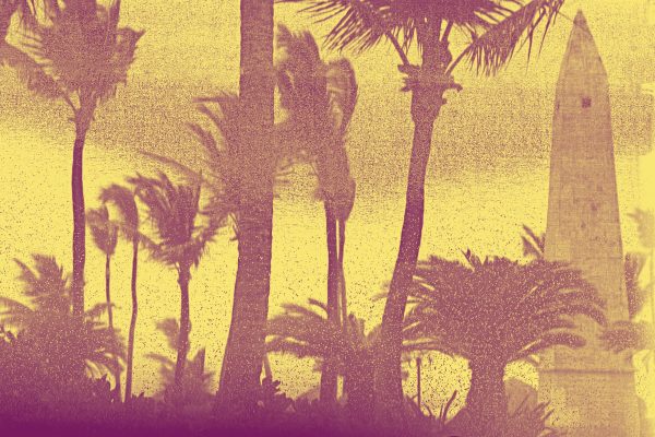 The image features a tropical scene with various palm trees in silhouette, creating a serene and