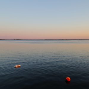 Two small floating buoys taking a rest. Massapequa, NY