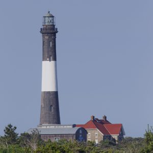 The photo was taken with a telescopic lens on Fire Island, New York,