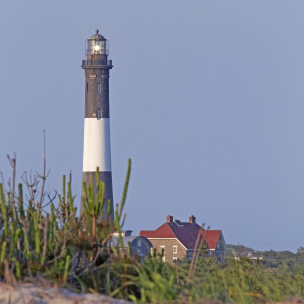 This photo was taken on the beach at Robert Moses State Park by using a telescopic lens.