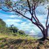 This photograph depicts a picturesque landscape scene in Costa Rica. A large tree stands prominently