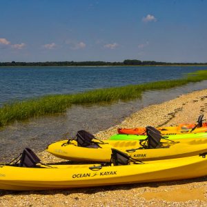 Came to Orient to do some paddle boarding and found this line up. I paddles along the shore and