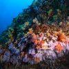 "Underwater Rainbows" is a mesmerizing underwater photograph that captures the vibrant and