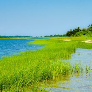 Orient Harbor On a sunny day  in June.   See Osprey Nest on right.