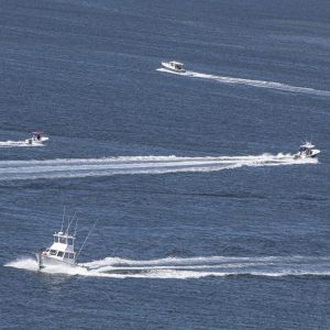 A Bevy of Boats at Fire Island. This shot was taken from the top of the Fire Island Lighthouse